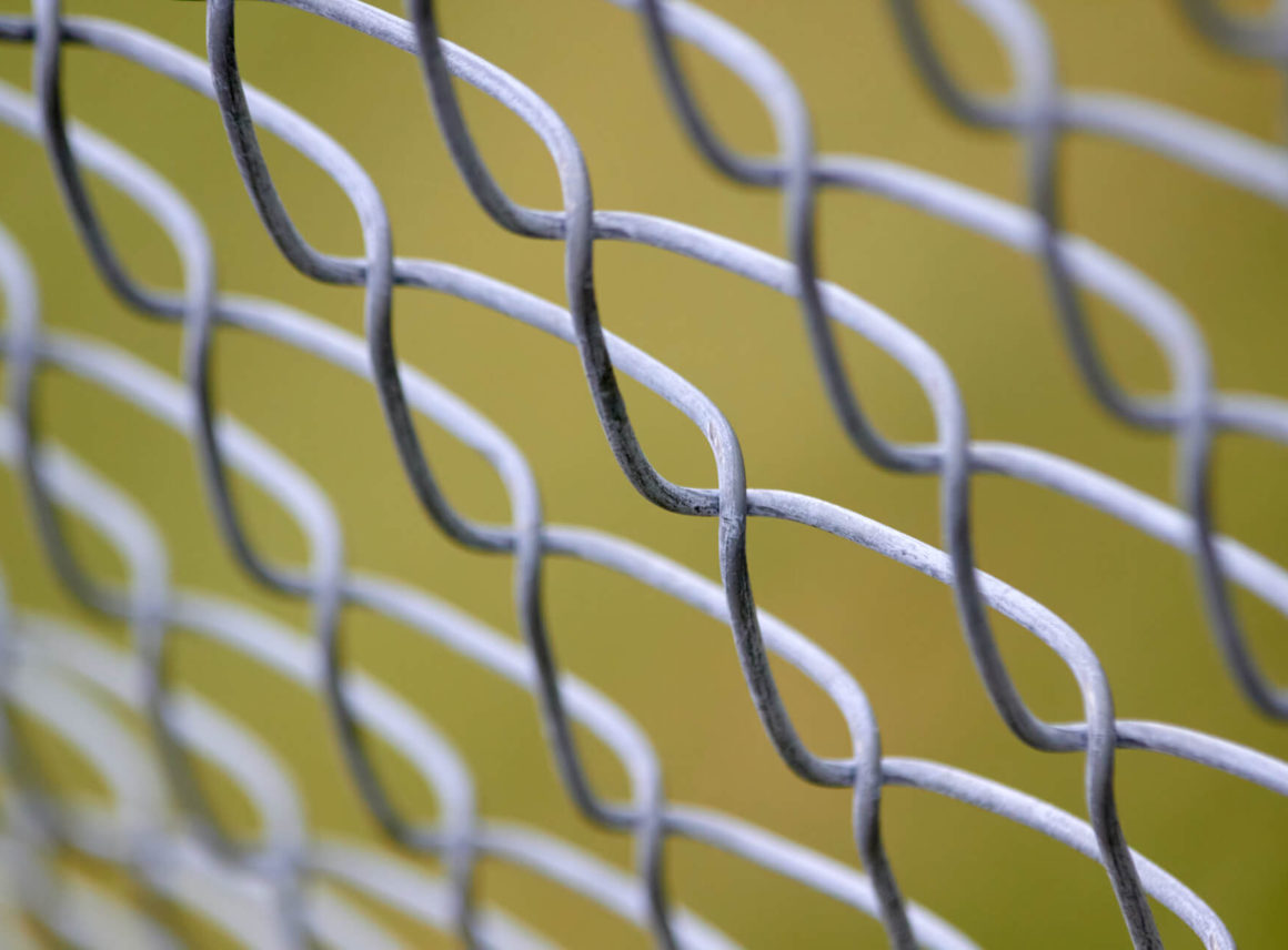 jaka siatka ogrodzeniowa – ocynkowana czy powlekana do ogrodu
