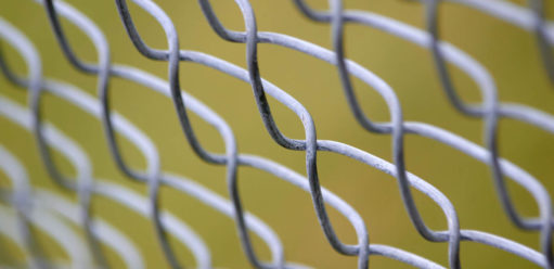 jaka siatka ogrodzeniowa – ocynkowana czy powlekana do ogrodu